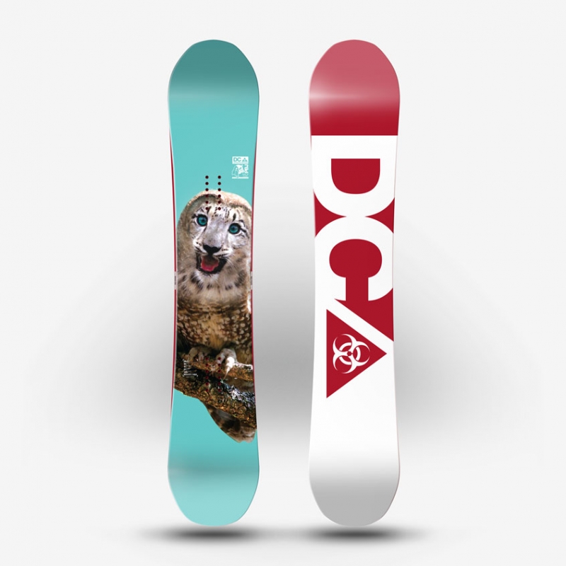 DC Shoe Co. USA Snowboarding