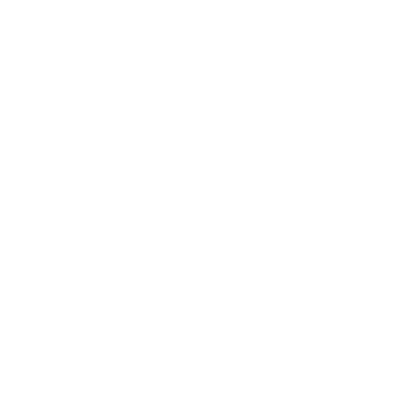 Dc Snowboards PBJ LOGO