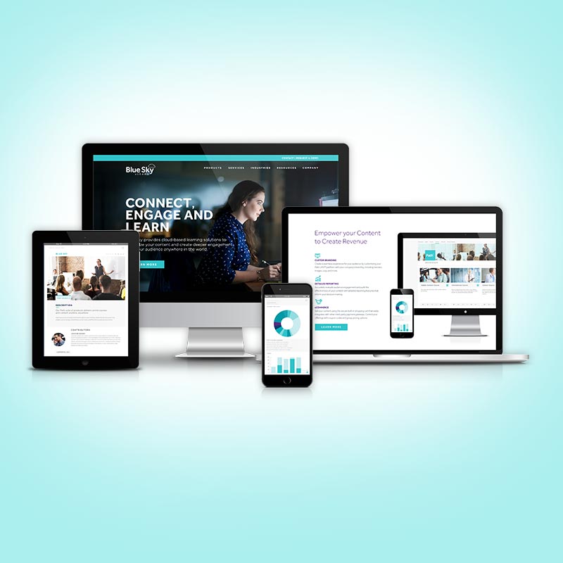 Blue Sky Learn Website Homepage Design & UI Design